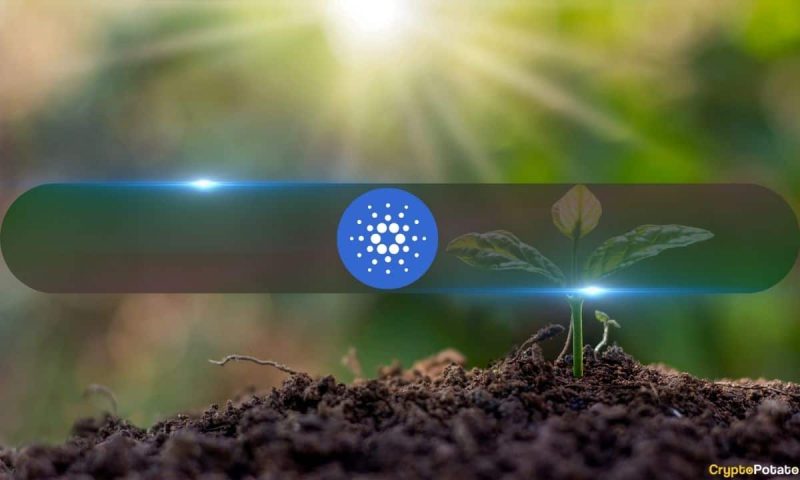 cardano-defies-critics-with-strong-github-activity-among-major-layer-1-blockchains