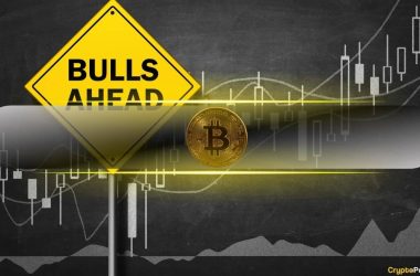 bitcoin’s-15%-correction-propelled-by-profit-taking-but-bull-cycle-is-far-from-over:-cryptoquant