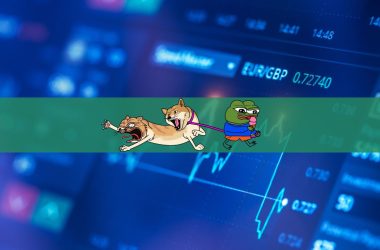dogwifhat-price-pumps-24%-as-newcomer-dogwifcat-makes-an-exciting-debut