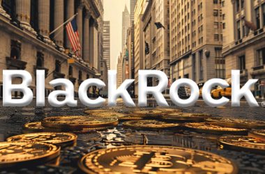 blackrock’s-bitcoin-etf-achieves-legendary-status-after-hitting-second-largest-inflows-for-2024