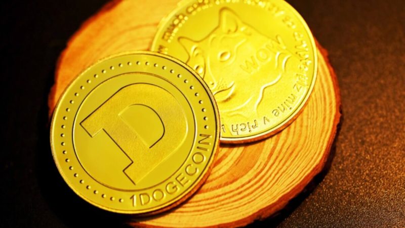 understanding-meme-coins:-what-are-they-and-how-to-use-them