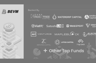 bevm-bitcoin-layer2-closes-seed-round-with-rocktree-capital,-sathoshi-lab-&-20-others
