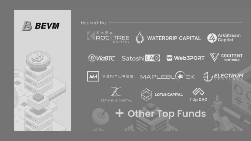 bevm-bitcoin-layer2-closes-seed-round-with-rocktree-capital,-sathoshi-lab-&-20-others