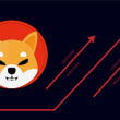 shiba-inu-going-to-$0.0001:-crypto-analyst-reveals-what-will-drive-the-rally
