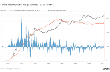 bitcoin-accumulation-hits-decade-high-among-‘shark’-cohort