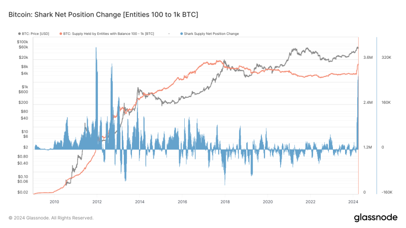 bitcoin-accumulation-hits-decade-high-among-‘shark’-cohort