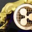 crypto-analyst-predicts-600%-1000%-return-for-xrp,-here’s-the-target