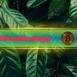 microstrategy-shares-trading-at-an-‘unjustifiable-premium’-to-bitcoin:-report