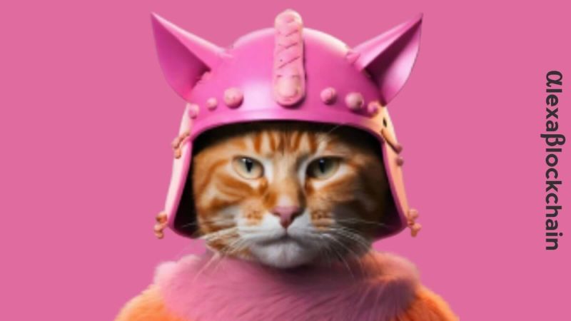 catwifhelmet:-a-new-era-in-memetic-innovation