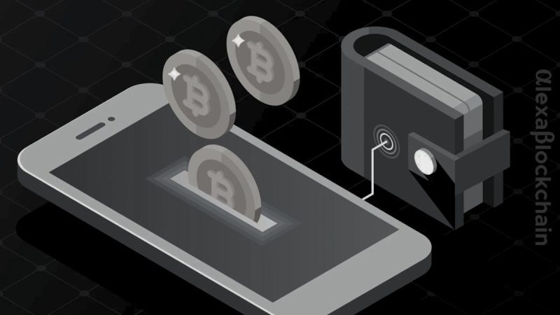 how-web3-wallets-act-as-key-enablers-of-decentralized-finance?
