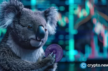 the-koala-coin-community-expands,-attracting-ethereum-classic,-stellar,-holders
