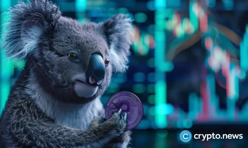 the-koala-coin-community-expands,-attracting-ethereum-classic,-stellar,-holders