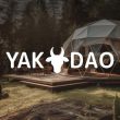 yakdao-debuts-$yaks-token-on-arbitrum,-innovating-defi-real-estate