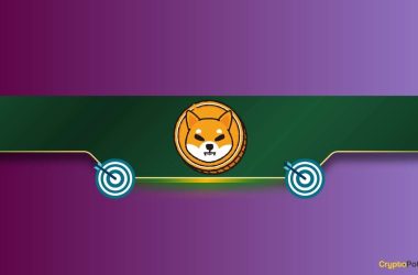 shiba-inu-(shib)-blasts-through-another-huge-milestone:-details
