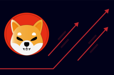 shiba-inu-to-rally-100%-to-$0.000062?-analyst-reveals-why-this-is-possible