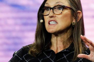 bitcoin-is-an-insurance-policy-against-rogue-regimes:-cathie-wood