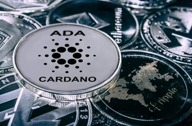 grayscale-drops-cardano-(ada)-from-its-digital-large-cap-fund