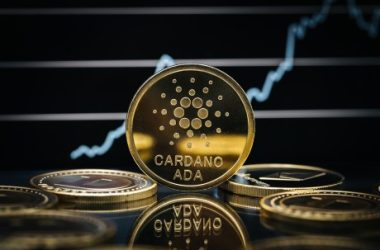 cardano-price-in-turmoil:-can-whales-drive-ada’s-resurrection-from-recent-dump?