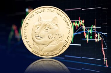 dogecoin-rally-intensifies:-eyes-set-on-historic-new-highs