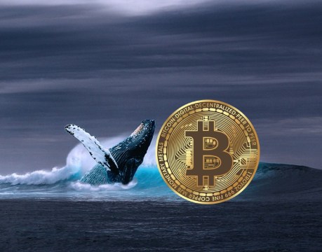 bitcoin-whales-maintain-positive-accumulation-behavior-ahead-of-2024-halving:-report