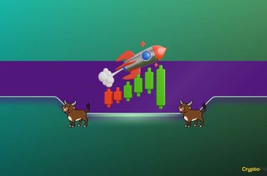 ripple’s-ceo-with-a-very-bullish-prediction-for-2024