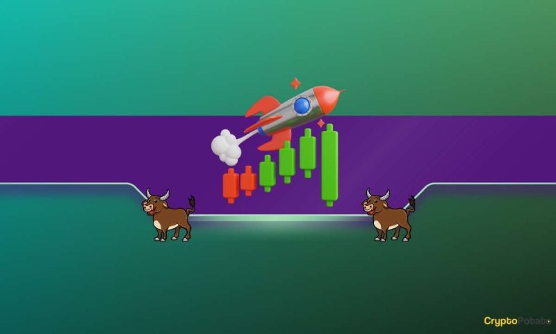 ripple’s-ceo-with-a-very-bullish-prediction-for-2024