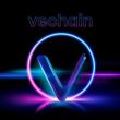 vechain-on-the-edge:-insider-says-vet-will-reach-the-finish-line
