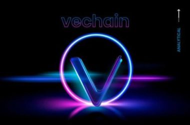 vechain-on-the-edge:-insider-says-vet-will-reach-the-finish-line