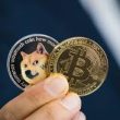 crypto-expert-reveals-what-to-expect-for-bitcoin,-dogecoin,-and-xrp-in-12-16-months