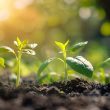 seeds-of-change:-how-emerging-tech-cultivates-a-sustainable-revolution-in-agriculture