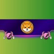 top-recent-shiba-inu-price-predictions:-where-is-shib-headed-in-2024?