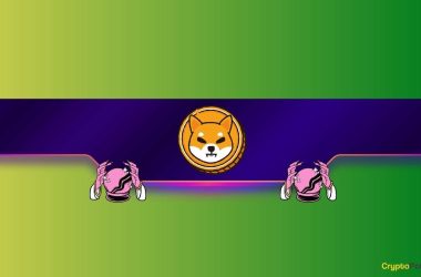 top-recent-shiba-inu-price-predictions:-where-is-shib-headed-in-2024?