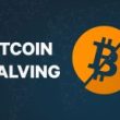 bitcoin-halving:-a-tale-of-2-emotions-–-will-fomo-or-fud-rule-the-market?