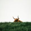 waiting-for-the-bitcoin-bull-run-to-resume?-here’s-the-indicator-to-watch-for