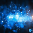 paypal-removes-nft-transaction-protections