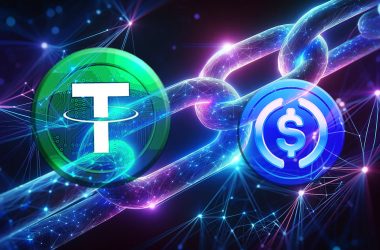 stablecoin-distribution-reveals-liquidity-patterns-in-defi