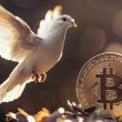human-rights-foundation-launches-finney-freedom-prize-to-reward-contributions-to-bitcoin-for-110-years
