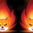 shiba-inu-burn-rate-sees-81%-daily-increase,-but-why-is-participation-low?