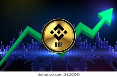 bnb-resilience:-holding-firm-at-$560-–-what’s-next?
