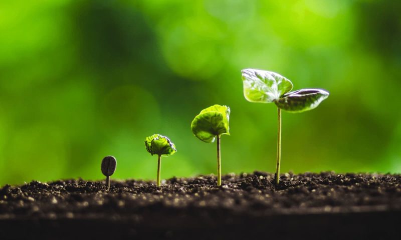 cex-trading-volumes-nearly-triple-since-october-2023:-bybit