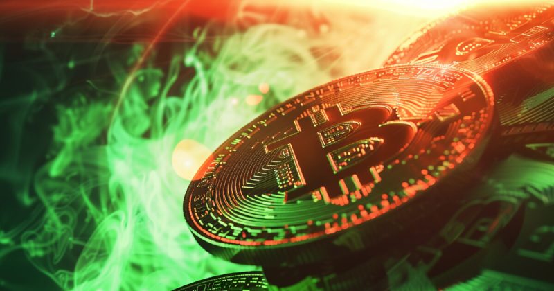 bitwise-cio-believes-market-has-not-priced-in-future-demand-for-bitcoin-post-halving