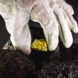 bitcoin-miners-strike-gold:-$107-million-profit-from-runes-fueled-minting-spree
