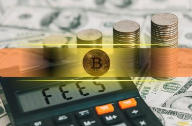 post-halving-fee-madness-on-the-bitcoin-network-after-the-introduction-of-runes