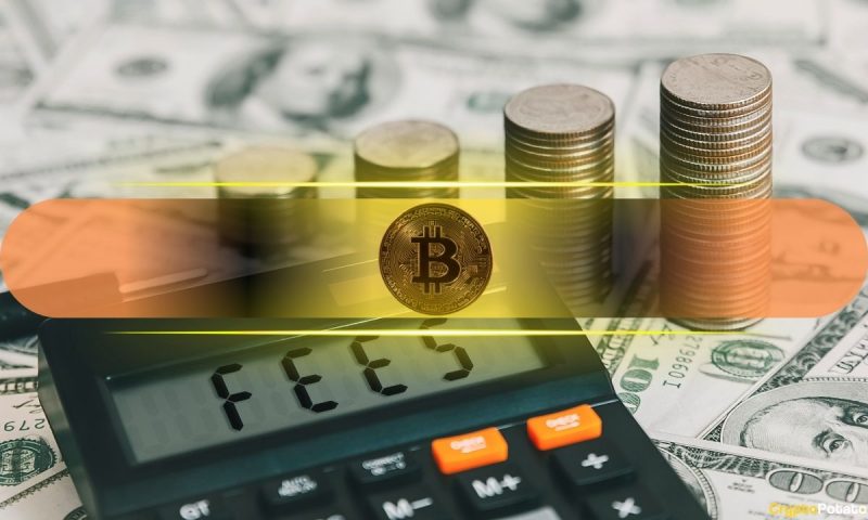 post-halving-fee-madness-on-the-bitcoin-network-after-the-introduction-of-runes