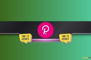 polkadot’s-latest-advancements:-ecosystem-weekly-recap