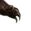bitcoin-forms-death-cross-&-td-9-sell-signal:-brace-for-impact?