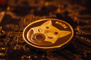 shiba-inu-(shib)-unveils-ambitious-shibarium-plans-as-kangamoon-steals-the-show