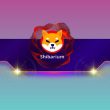 big-news-for-shiba-inu-(shib):-team-member-posts-shibarium-roadmap-hints