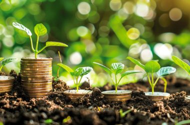 navigating-the-web3-startup-landscape-with-limited-funds