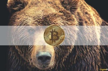 the-bitcoin-bear-market-may-have-already-started,-signal-shows